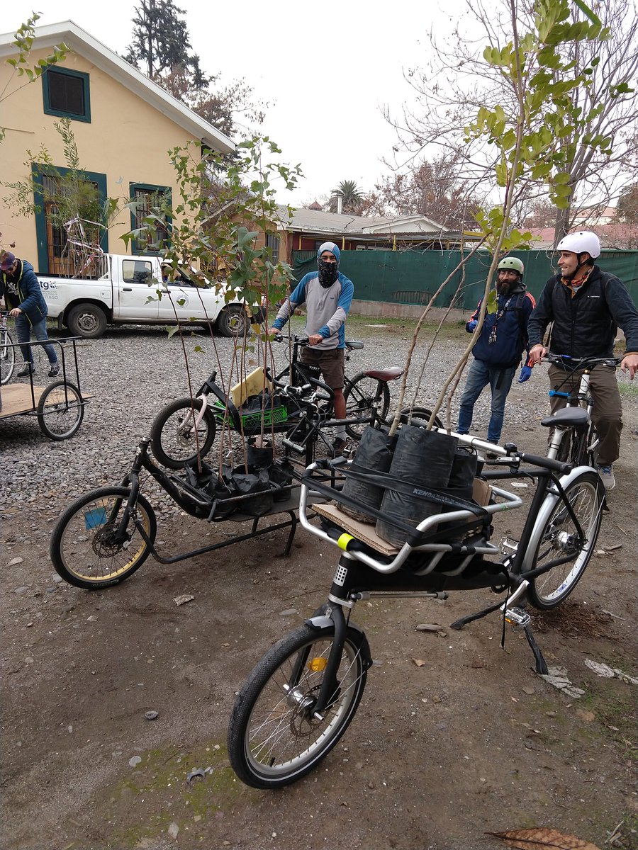 CleteroAmb's tweet photo. Hoy estuve presente en Independencia ayudando en la #Arborización junto a diversas organizaciones con las que trasladamos los árboles en #Bicicleta 0% emisión excelente actividad y como dice un amigo por ahí #BonitoToo https://t.co/sJJMDh986i