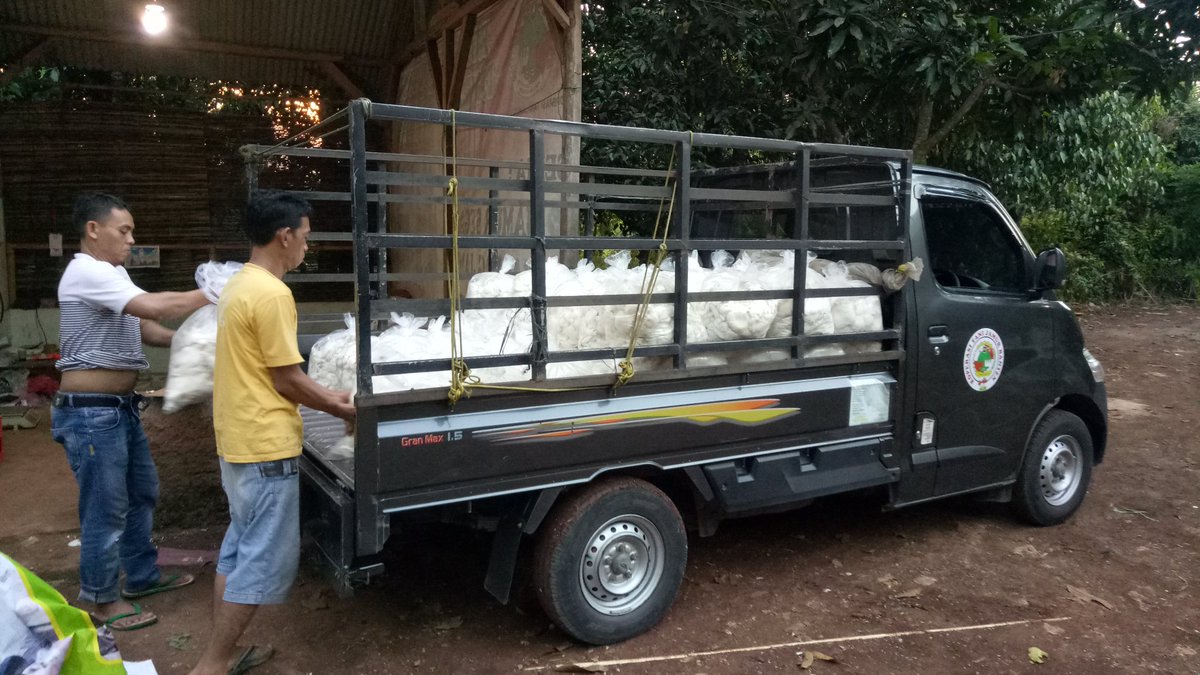 Mensejahterakan petani jamur dan penyedia bahan baku produksi itu tujuan dan maksud koperasi tani jamur banten