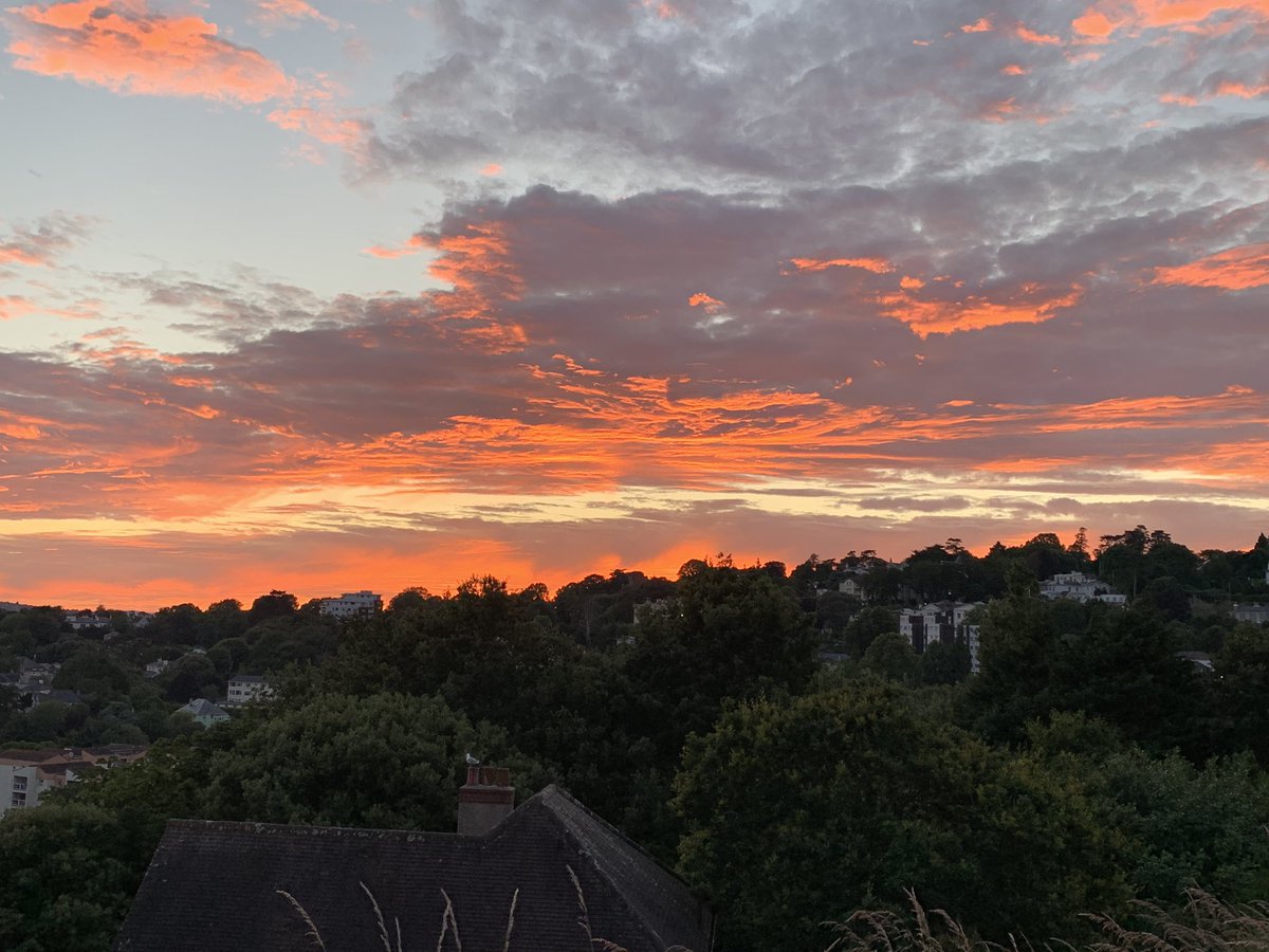 ScancomingUK tweet media