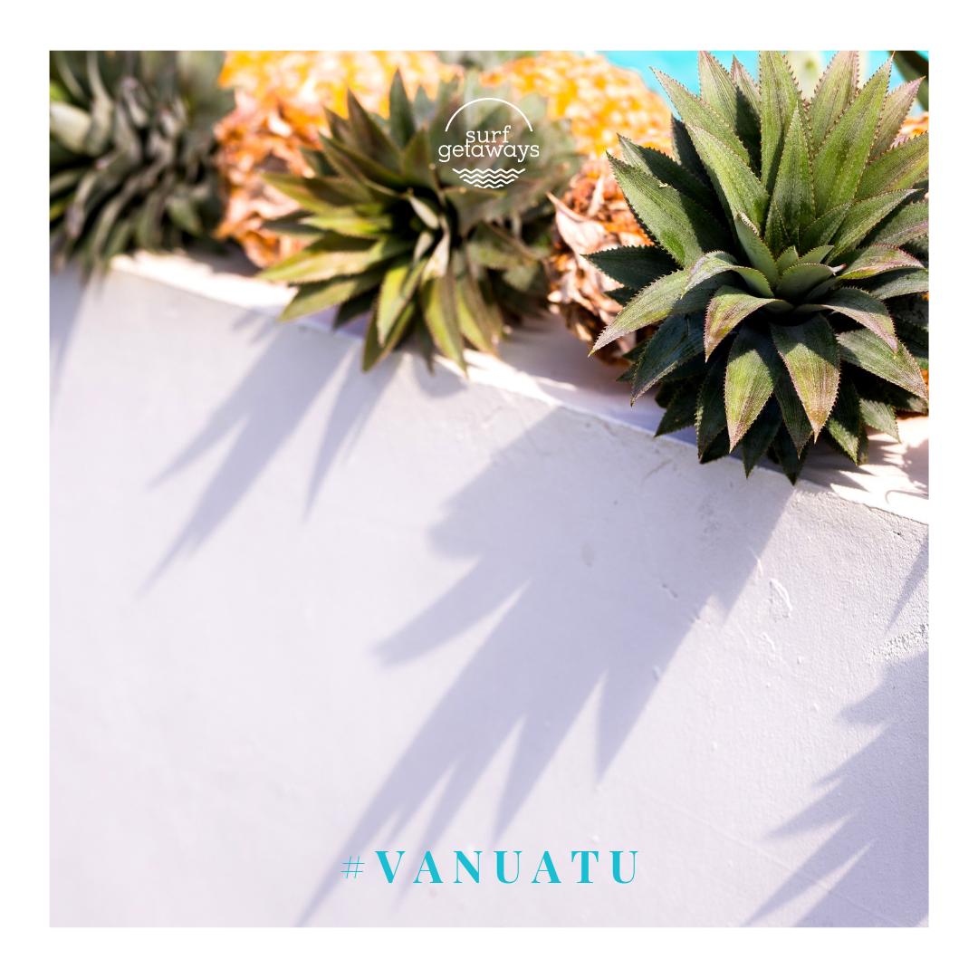 Get your vitamine sea in #Vanuata 🍍
Tropical 🌺 #paradise to learn to #surf 🏄‍♀️💦
Tag a friend who should come along 👉
.
.
.
.
.
#SundayFunday #surfgetaways #womensurfing #instasurf #surftravel #surfergirls #learntosurf #surfschools #surfcamps #surfing