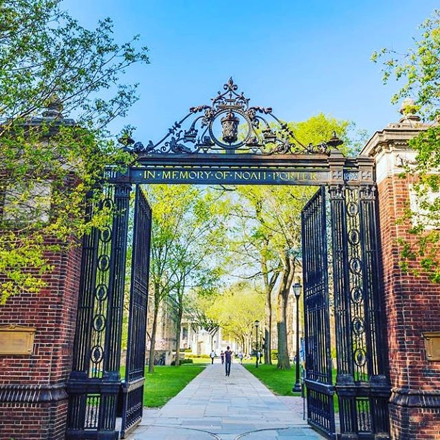 magolnick's tweet photo. Reposting @adifferentdrive:
Will Yale's Investment in Crypto Lead to More Institutional Investors?
*
#adifferentdrive #addtech #technews #techreview #techenthusiast #techie #techjunkie #technology #tech #consumerelectronics #electronics #ai #crypto #cryptocurrency #blockchain https://t.co/gP1yAT1F4Y