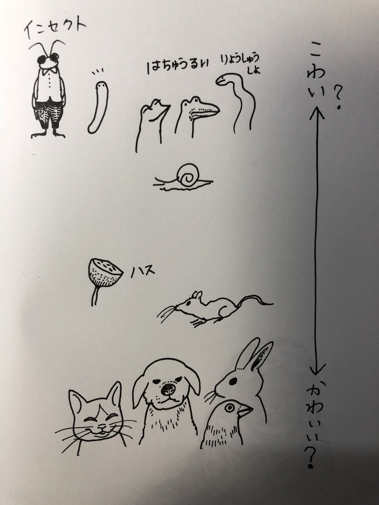 Yuko Higuchi ヒグチユウコ On Twitter ブックマークしてみた そうか そうするとその素敵なツイートを良いと思ったことが相手に伝わらないってことなのかな 別アカウントを作るのはしばらくやめてツイッターの 仕様変更あるまではこれで対処します １つ賢くなったわ