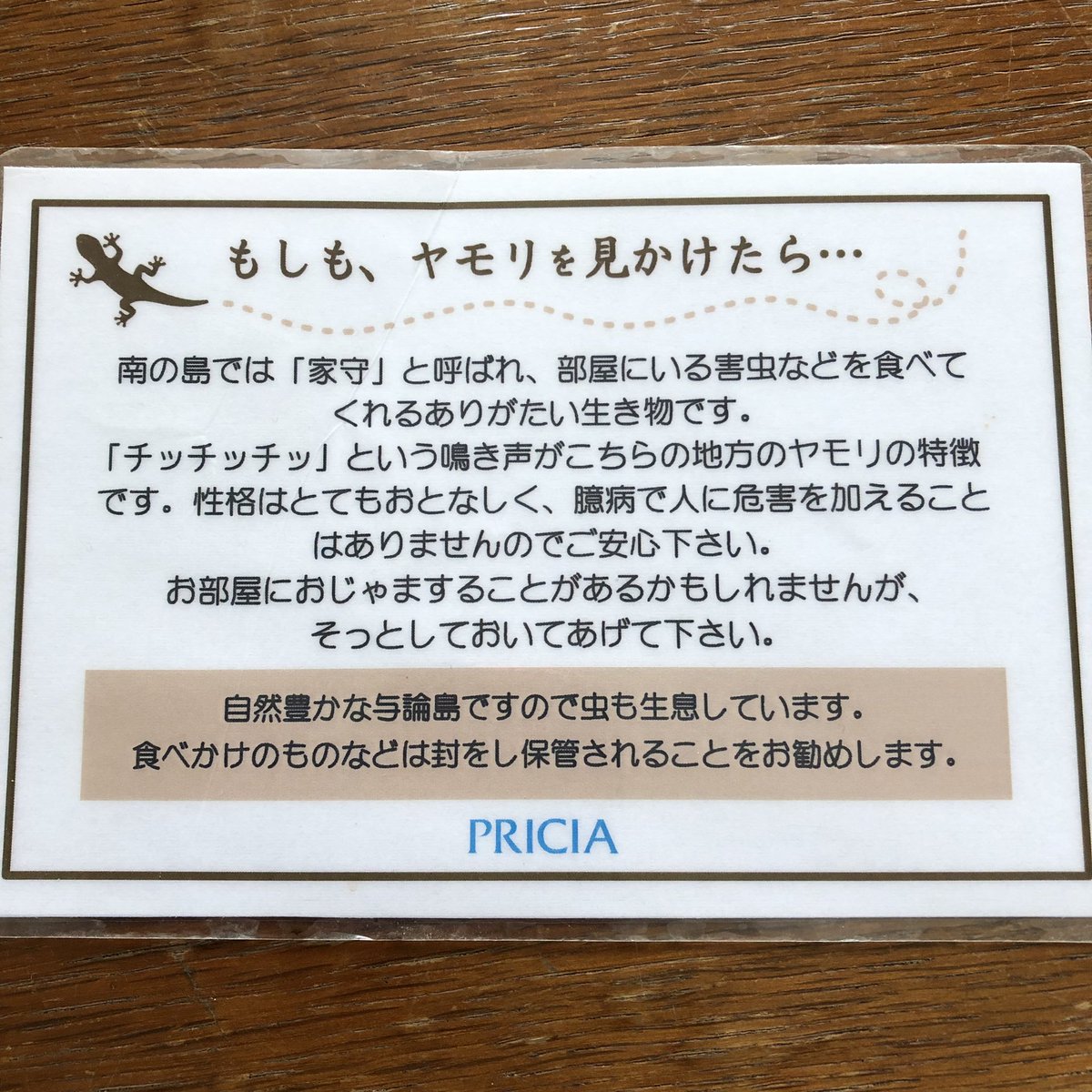 Pricia Twitter Search Twitter