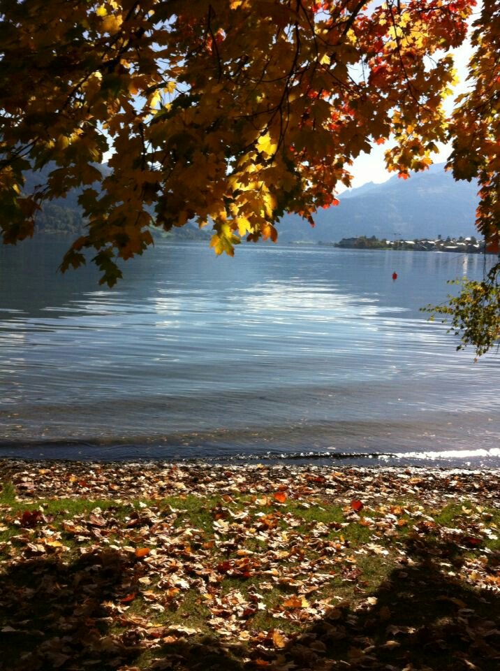 DKNatureExplore's tweet image. Resting eyes🍁🍃🌿