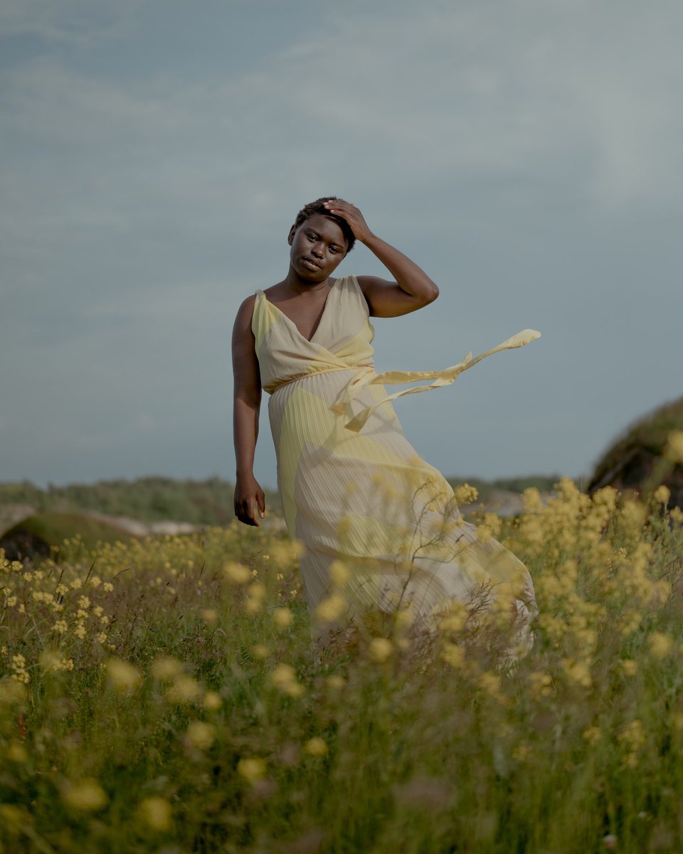 Lintustudio tweet media