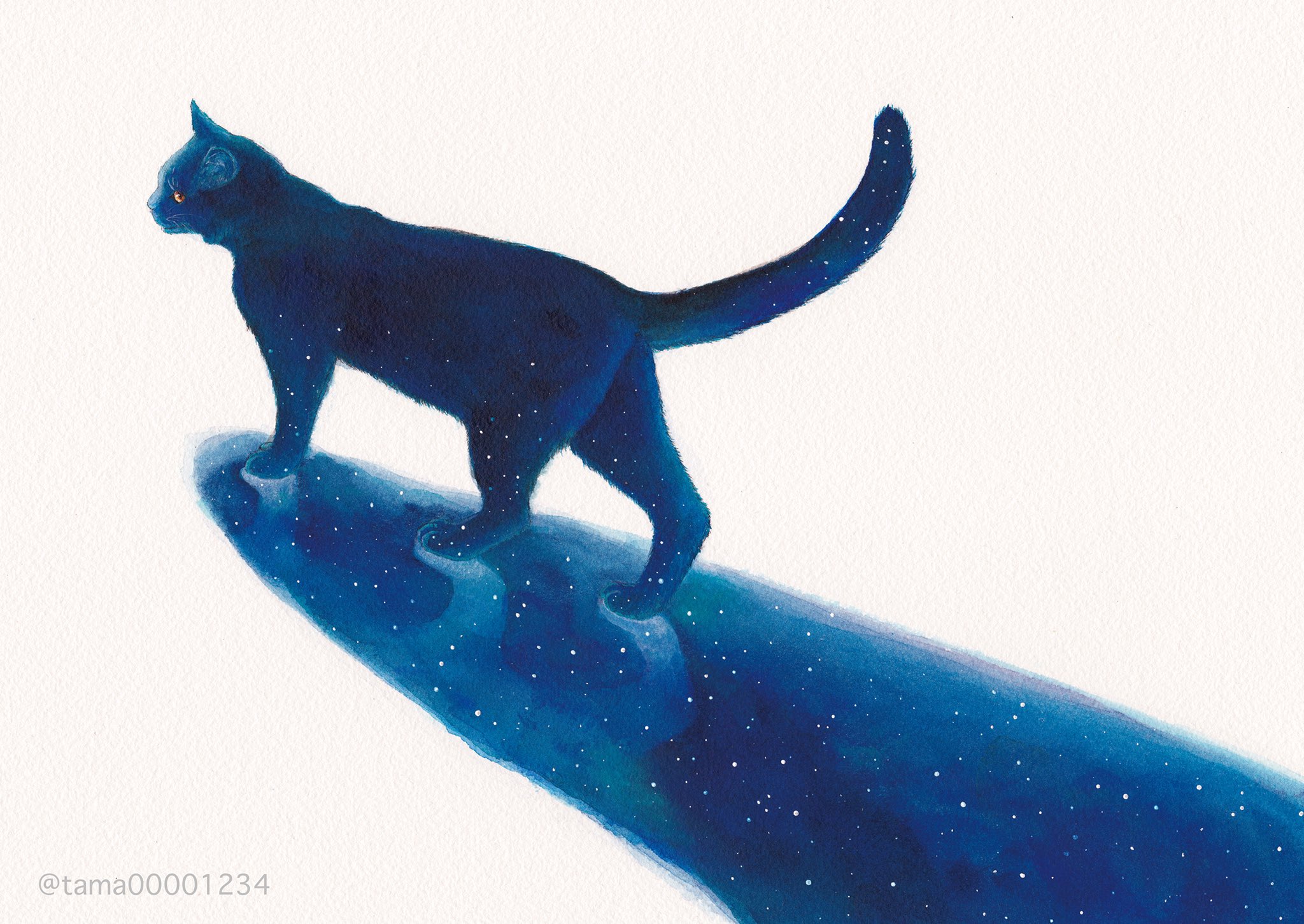 第13回 月と星と夜空のtwitterシェア企画展 Twitter Search Twitter