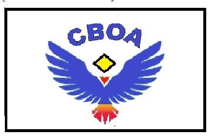 ManimaranGV1's tweet photo. Flag for CBOA’s 18th Triennial 2019. 18 feathers denotes. https://t.co/V4mQwFKI2P