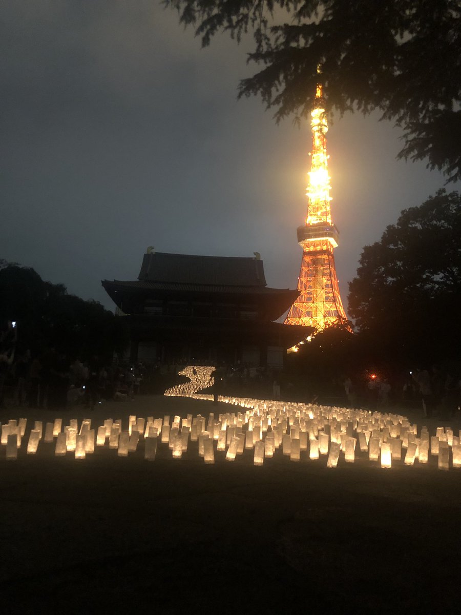 はしもとくん Hashimoto Twitter