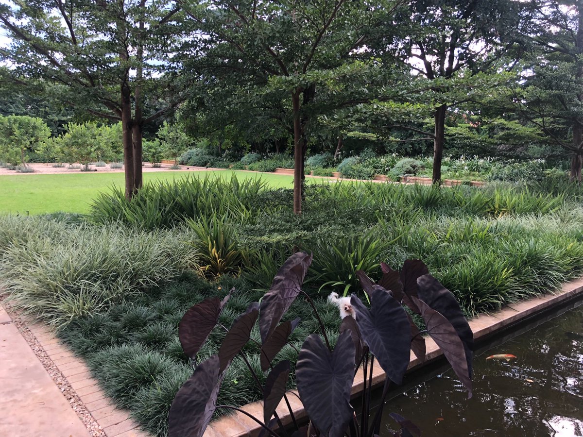 A sneak preview of a very secret garden that we’ve been building in Lusaka ,....#hidengardens