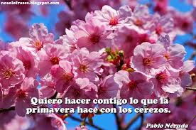 LuqueOmaira's tweet photo. Que yo la amaba con todo mi corazón. 
Ahora solo me queda esperar
que regrese nuevamente, o 
Buscar otro amor, que ocupe mi alma y mente. 
#MiPrimavera https://t.co/Lfkj1f49CW