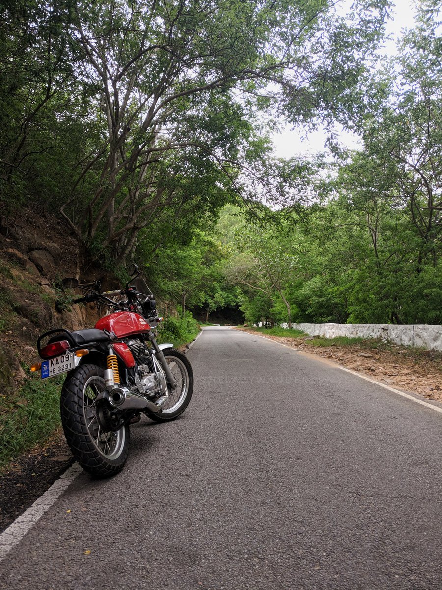 TheLazyWandrMys's tweet photo. On a casual stroll
.
#royalenfield #continentalgt #justanotherday #TheLazyWandererMys #ShotOnOnePlus #oneplus3t #customized #madeforbold #ralco #ceat #mysore #windyroads #curves #weekendritual #pdarmy #mysore #mysuru #SpeedBlaster #NammaMysuru #Karnataka #backroads #peaceful https://t.co/iqMccy6Iz1