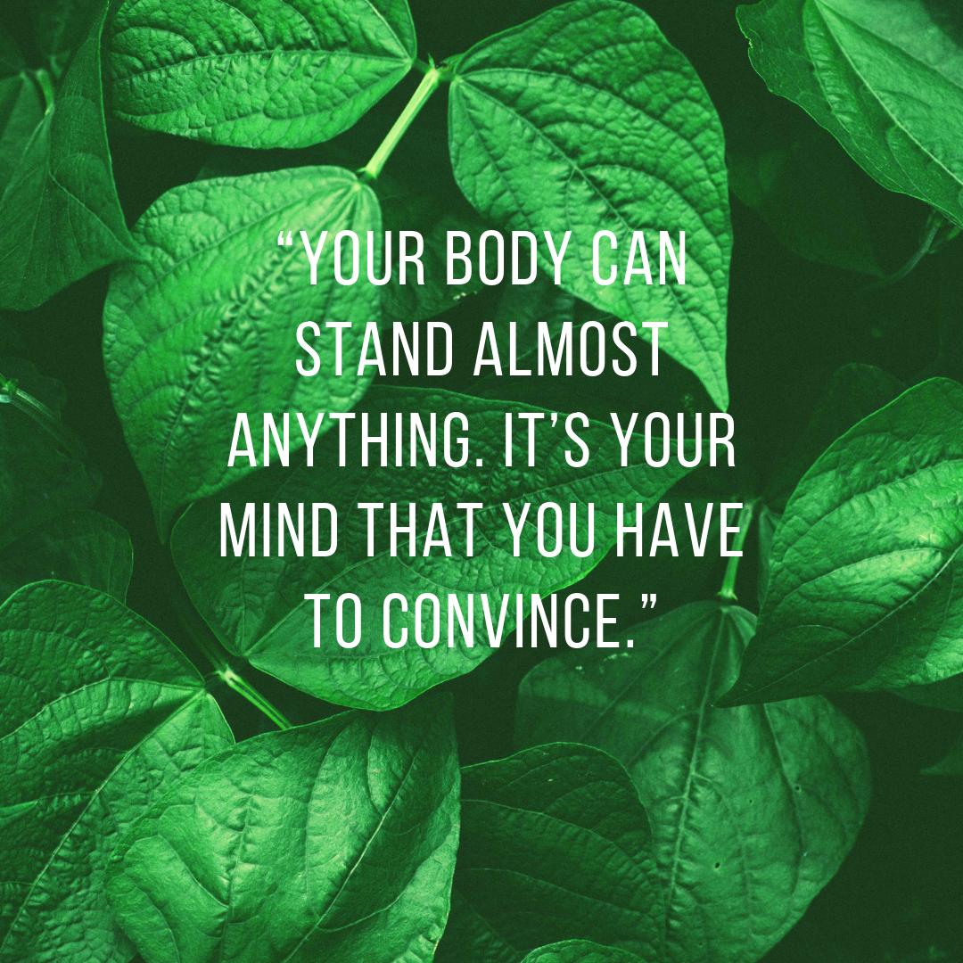 MrPilatesAus's tweet photo. “Your body can stand almost anything. It’s your mind that you have to convince.”

#instaquotes #pilates #fitness #melbourne #MrPilates #pilatesclass #pilateslife #pilatesstudio #pilateslovers https://t.co/E8Qwh4175I