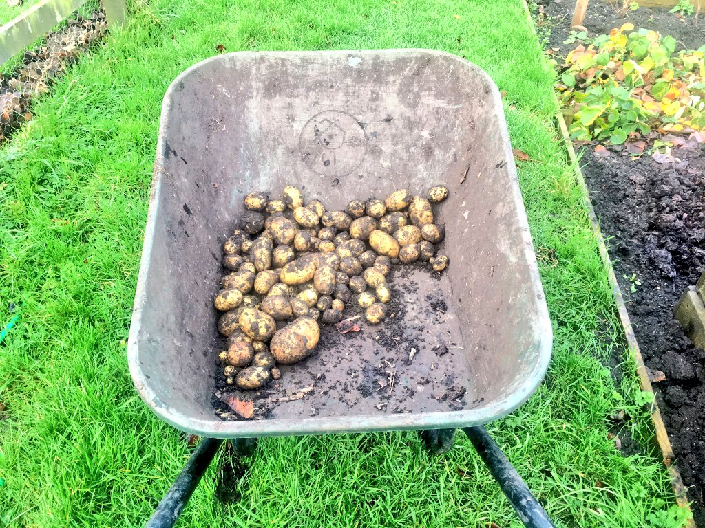 ForwardAssist1's tweet photo. Theres Nothing Better...Home Grown Potatoes From The Veterans Victory Vegetable Garden! #Cook2Give #Veterans #SaluteCafe #Health #Wellbeing @GlindonMary @SeatonDelavalNT https://t.co/qVJkZkmZCC