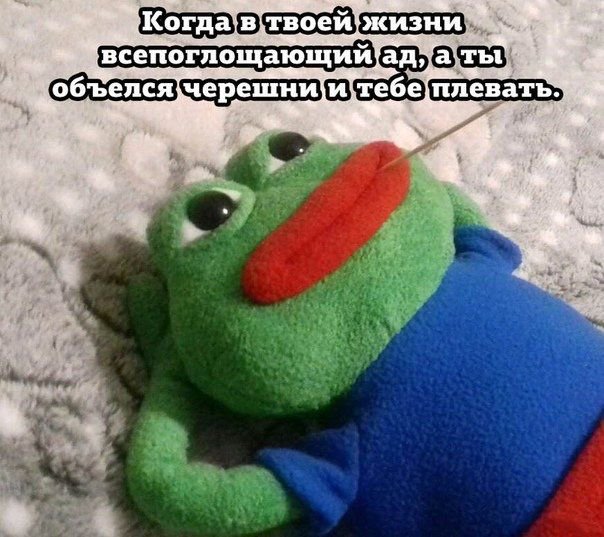 D-2vVyrWsAAUCDz?format=jpg&name=small