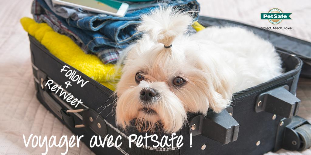 PetSafeFR's tweet photo. 🧳 #FOLLOW & #RT @PetSafeFR 👜
Préparez les affaires de vacances de votre #chien !
À gagner ➡️ 1 kit de voyage (2 gamelles, 1 gourde d’eau & sac) ➕ 2 jouets #BusyBuddy (#BristleBone & #Elephunk)
TAS et annonce du gagnant le 12/07/2019 à 19h !
🐶😜👍🏻 (#CONCOURS réservé à la 🇫🇷) https://t.co/1L3ocV85Ys