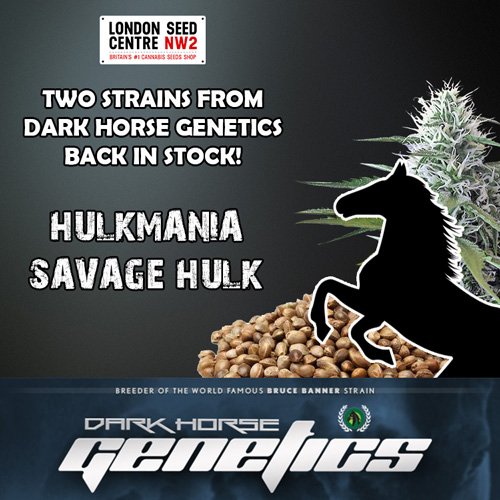 الوسم Darkhorsegenetics على تويتر