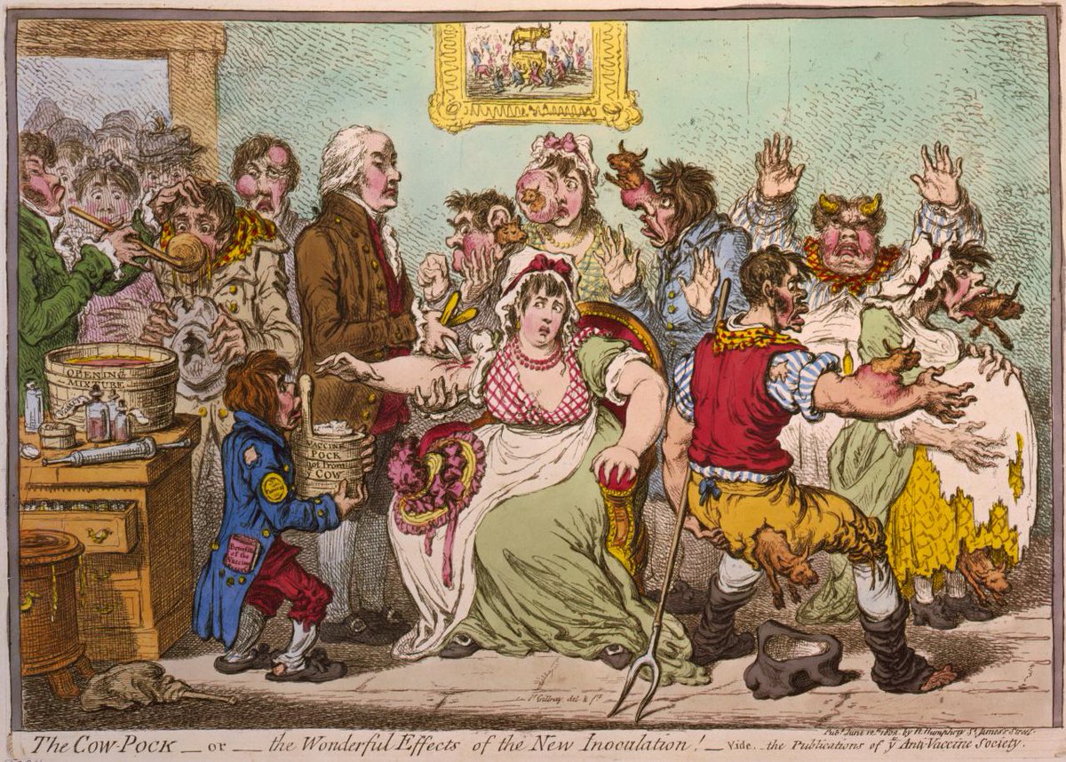 Despite the fact that in the late 1700’s smallpox was killing around 10% of the British population and spreading rapidly in cities, rumours abounded that the new vaccine was unsafe, fuelled by cartoons like this one, showing... Cows? Erupting from the bodies of vaccinated people?