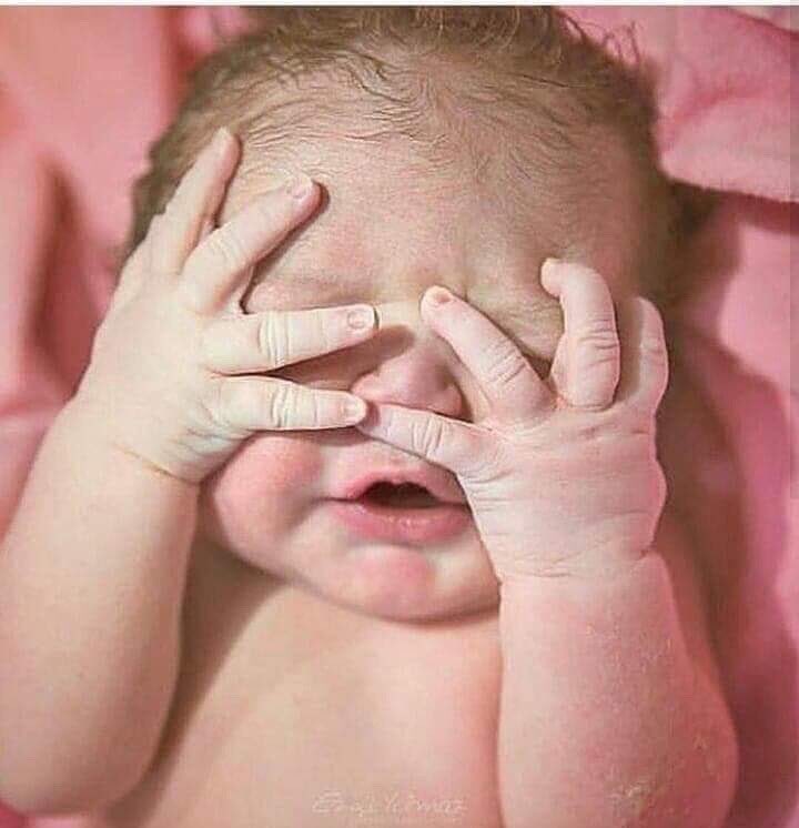 Ellow_taaa's tweet photo. Aur Mein yahan pighal gayi😍💋please say MaaShaaAllah♥️ https://t.co/trcRpX8XGb