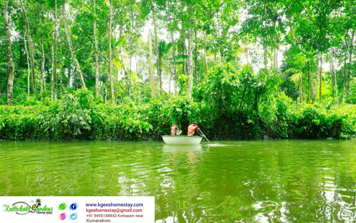 KottayamKayakin's tweet photo. #guestfavourates #guestfavouratesinkottayam #kuttickattilgardenshomestaykottayam #budgetoptions #budgetoptionsonkottayam #luxurystays #luxurystaysonkottayam #fortonightstay #fortonightstayinkottayam #fortonignt https://t.co/AQMTlW0yUp