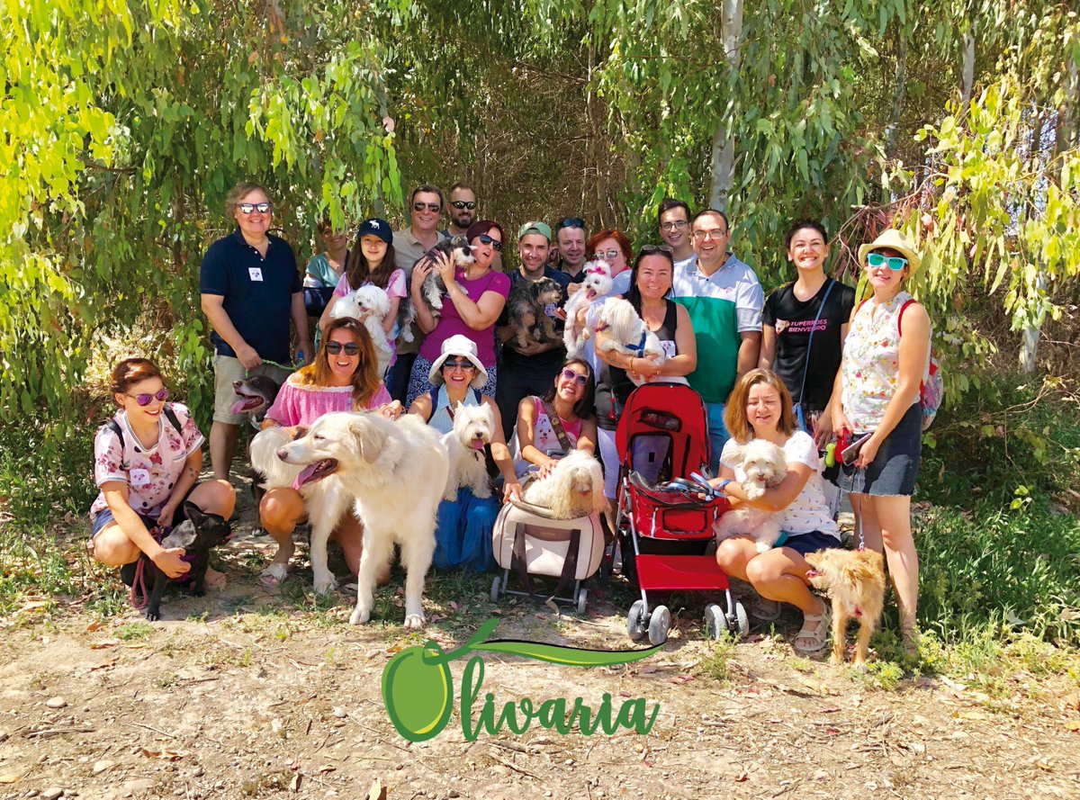 El domingo pasado hicimos con nuestros PERRHIJOS una visita a Olivaria y nos enseñaron cómo distinguir los tipos de ACEITE. Volveremos a hacerla en septiembre, junto con otras ACTIVIDADES muy chulas que estamos preparando. Será un otoño repleto de EXPERIENCIAS con tu PERRO!