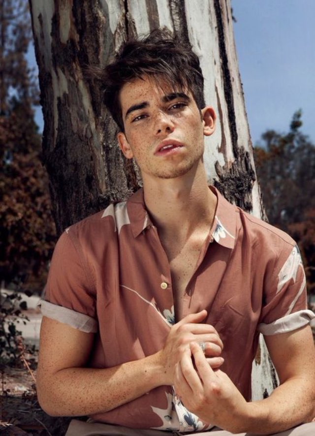 gossipseriesfr's tweet photo. L’acteur Cameron Boyce, connu pour ses multiples rôles pour Disney Channel comme #Jessie ou #Descendants, est décédé à l’âge de 20 ans. RIP... 👼🏼❤️ https://t.co/Z7zt4cEaXt