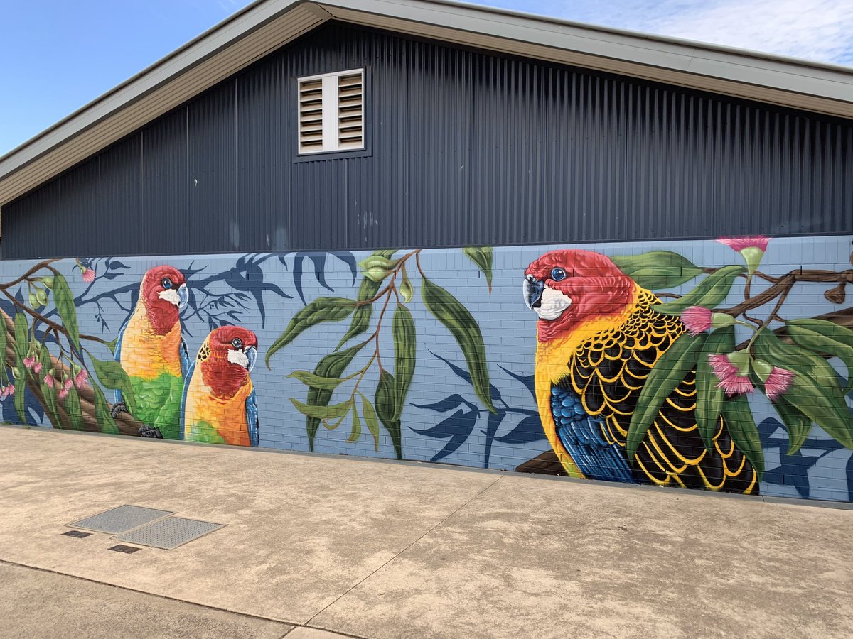Our gorgeous mural was unveiled earlier this term. Such a lovely addition to our playground.