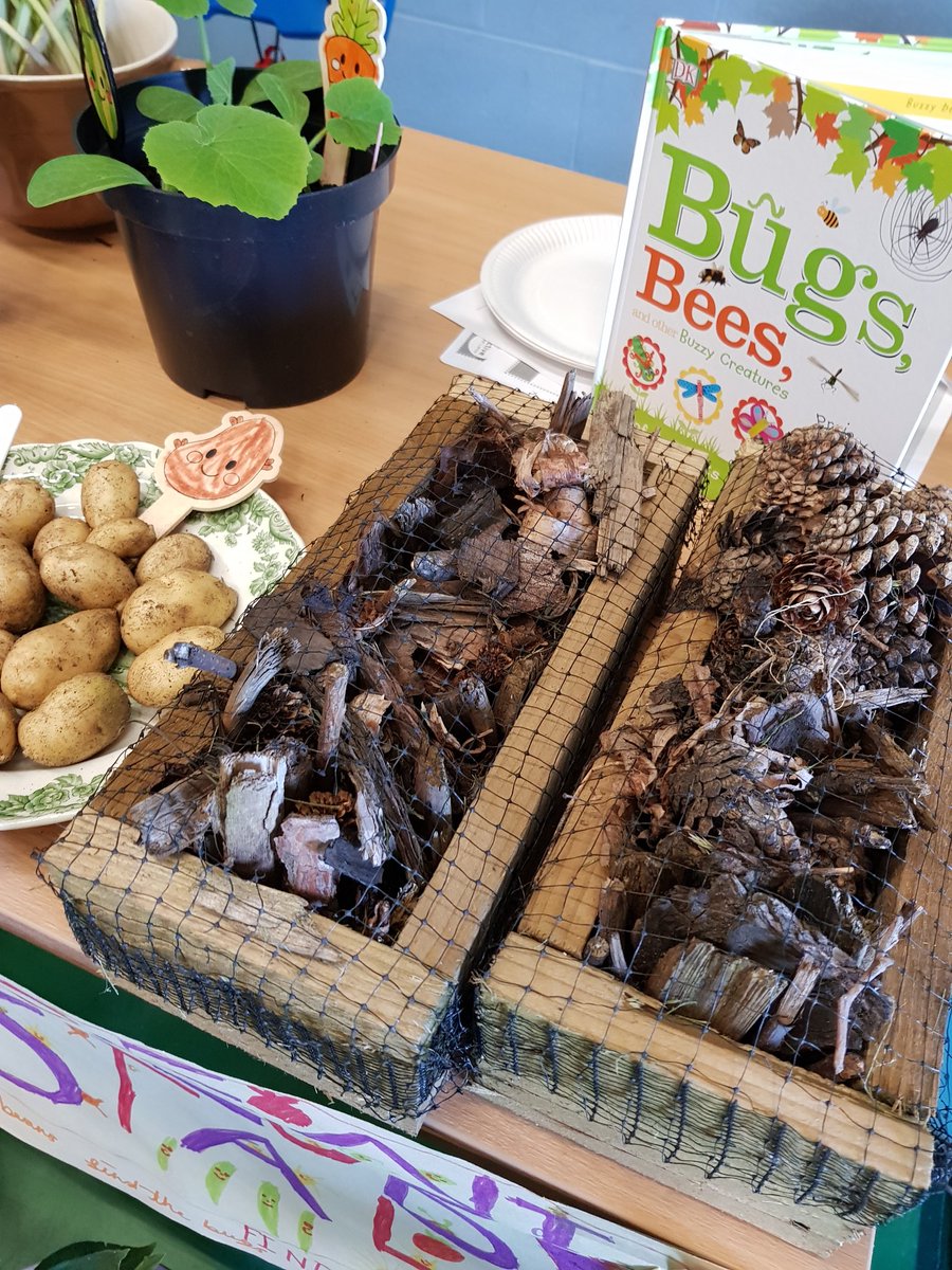 RachelCuppaTime's tweet photo. Such a brilliant event last week #swyg2019!
More than 50 children from schools around West Lancs celebrating their school gardening ππ»π¦ππ
#displays #activities #fun #competitions #wellythrowing #celebrate https://t.co/Is1L9G74mI