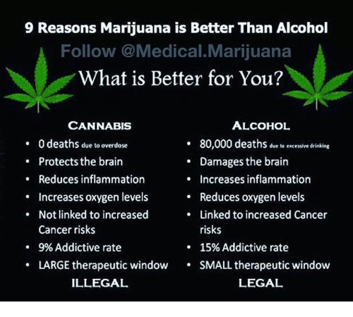 CannabisClassy's tweet photo. Marijuana every time it's SAFER 🧐🥰🌱
#CannabisCommunity #medicalmarijuana #MedicalCannabis #weednews #weedstagram #StonerLife #CannabisMedicinal #CBDlife #LegalizeIt #marijuananews #cancer #cannabiscanada #CannabisHeals #SaturdayMotivation #weedlife #weedmaps #weedlover https://t.co/X8CBjytlAB