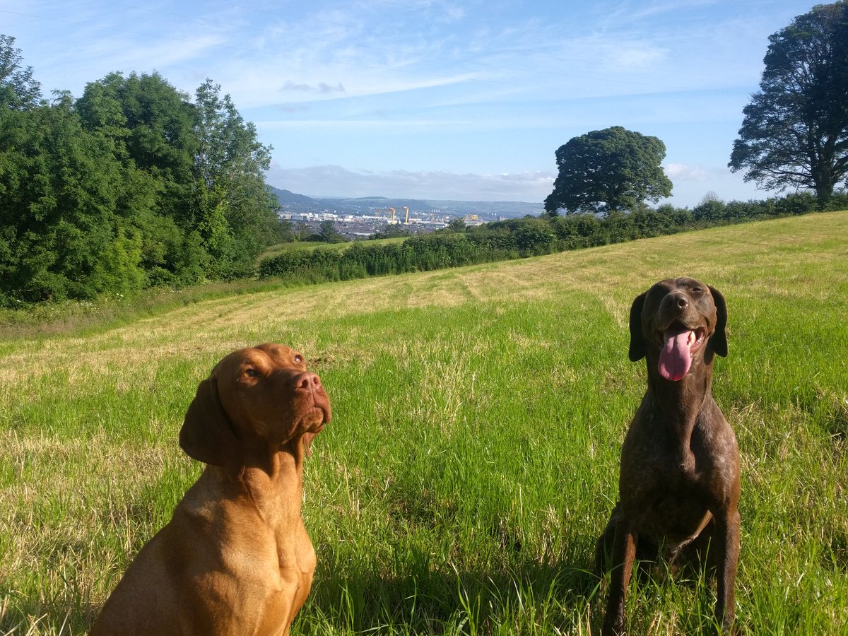 RubyandLottie tweet media