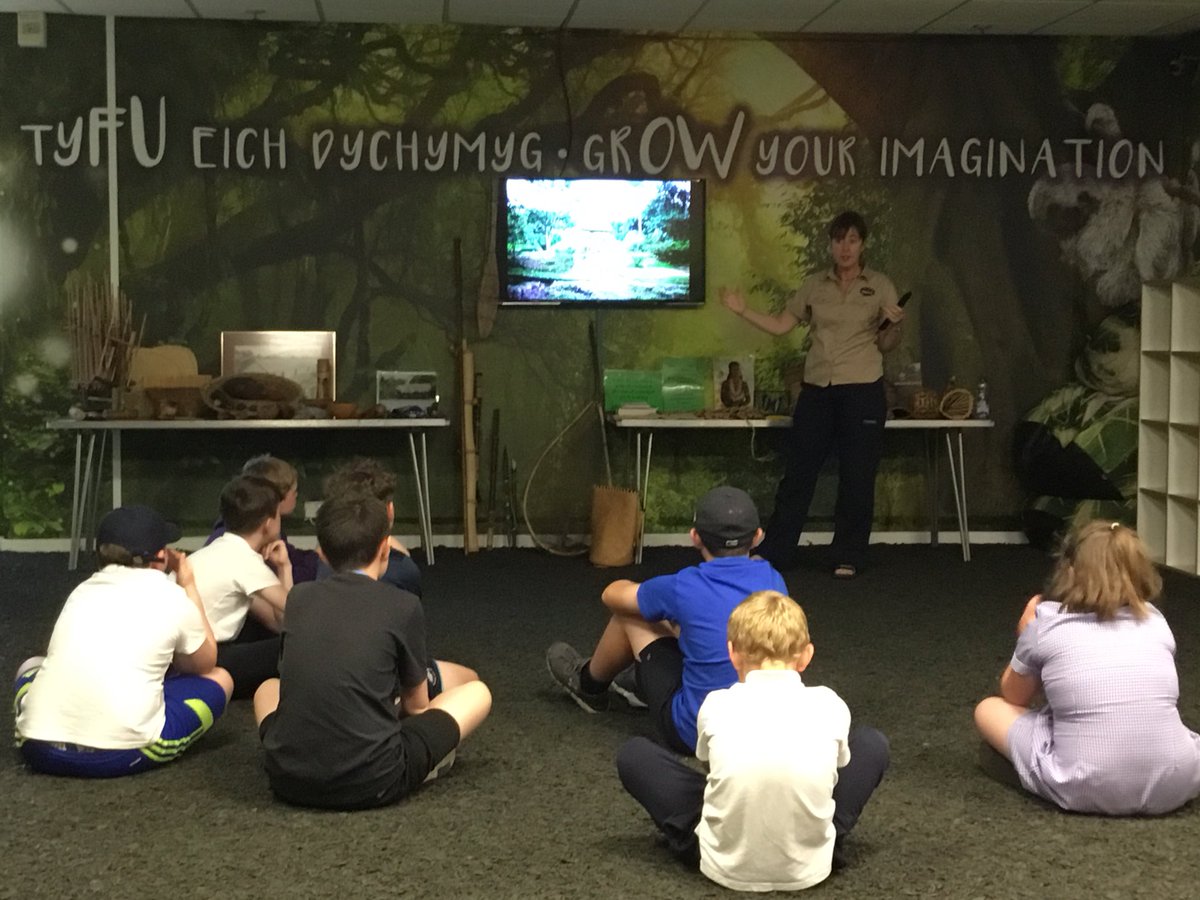 YGGFelindre's tweet photo. Trip hyfryd i Plantasia Wedi joio dysgu am goedwig law yr Amazon gydaMaria. Diolch yn fawr.
Lovely trip to Plantasia. Enjoyed learning another Amazon rainforest with Maria. Thank you very much.
🐛🦎🐸🦋🐒🐠☘️🌿🌱🍀🍃🌵🌷🌺🌸☀️🌧 https://t.co/asH0Tftaxn