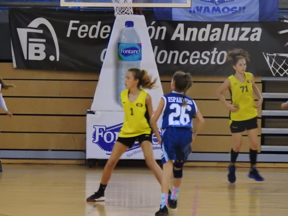 FAB_Andaluza's tweet photo. 🏆 5º-6º Puesto #CADEBAMF19 🚺 Memorial “Rafael Rojano”⛹️♀️
🏀 @SDCANDRAY ↔️ @clubadeba
⏱ 3º Periodo: 35-39
📍 @AytoSanlucar @diputacioncadiz
✅ @fabcadiz @FAB_Cordoba https://t.co/KRaFIVeaeF