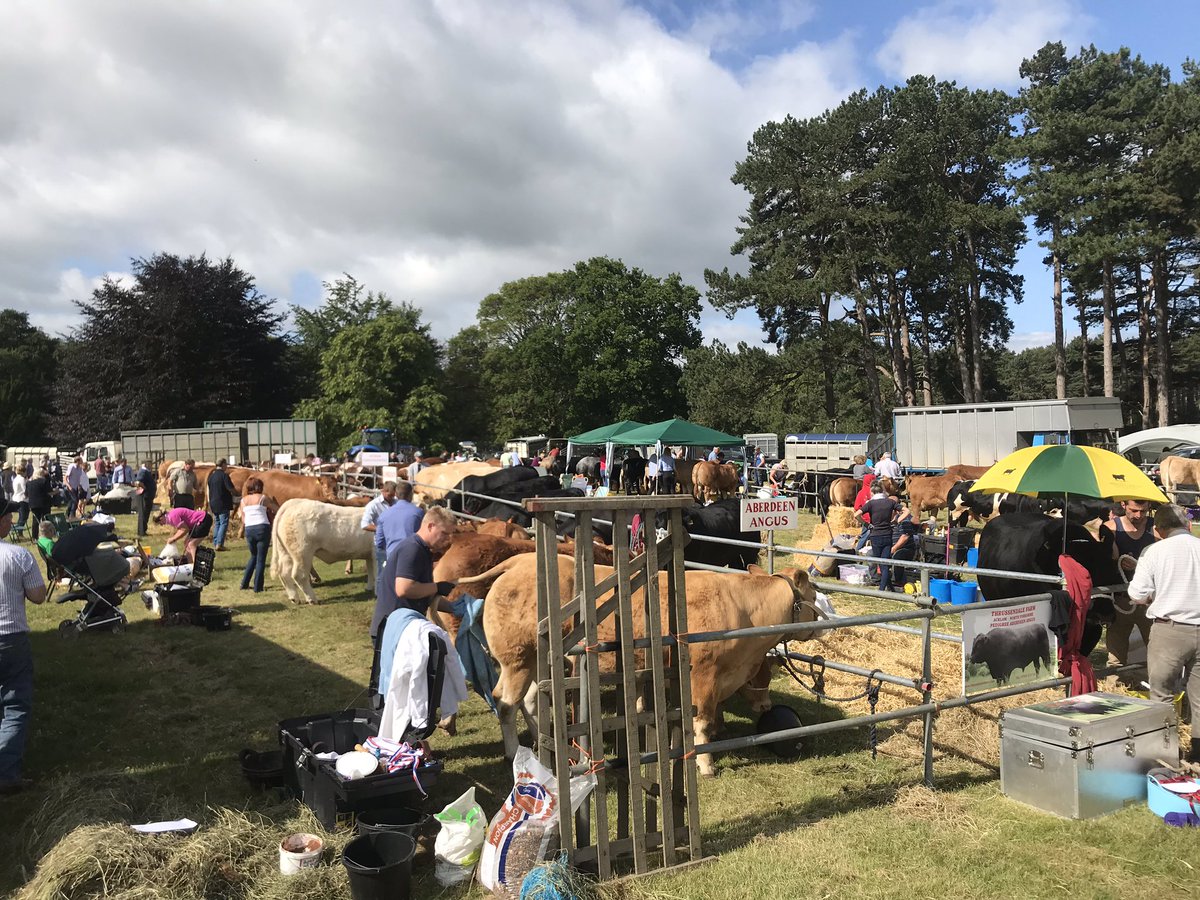 Malton Show tweet media