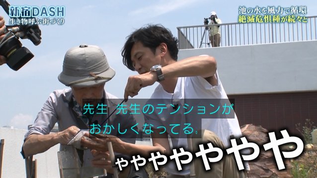 新宿dashの循環システムで準絶滅危惧種のイチョウキクゴケが育ちアカハライモリの赤ちゃん誕生 環境省が守り続ける1年前のイチゴも栽培 鉄腕dash Togetter 新宿dashの循環システムで準絶滅危惧種のイチョウキクゴケが育ちアカハライモリの赤ちゃん誕生 環境省が守り続ける1年前のイチゴも栽培 鉄腕dash Togetter