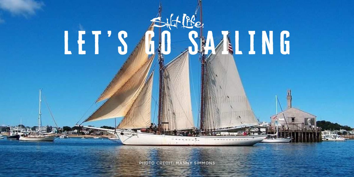 Salt Life tweet media