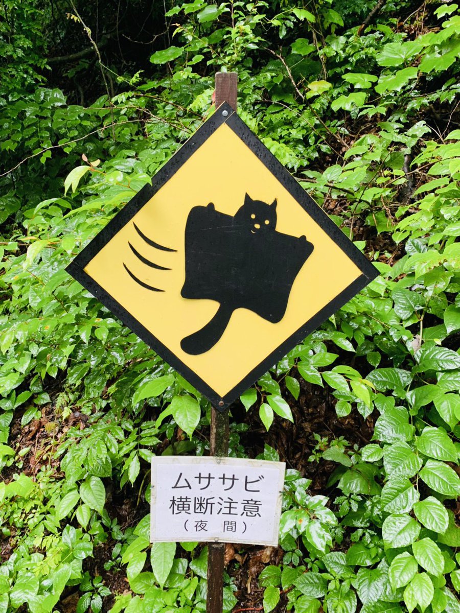 ユルいムササビ 鬼のような枝分かれ矢印 浮かれっぷりが可愛いピクトグラム 国内外の味わい深い標識とかいろいろ集めました Togetter