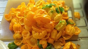 Ver imagen en Twitter