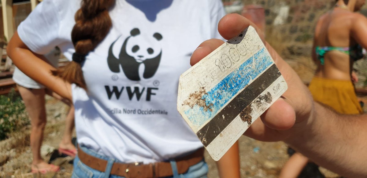 WWFitalia's tweet photo. Sai che ogni settimana ingeriamo una quantità di frammenti di plastica equivalente ad una carta di credito? Aiutaci anche tu a combattere l'inquinamento da plastica in natura: https://t.co/jX5WLDEqn5      #StopPlasticPollution https://t.co/e6SXzIH7dt
