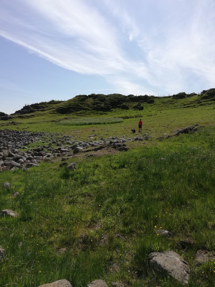 pacer_t's tweet photo. We went for another #MEAdventure this morning to Browns Bay. Had a run along some trails, through fields of sheep, saw the ferry and then ran on the beach. A good start to the day! https://t.co/K6tFI0uefX