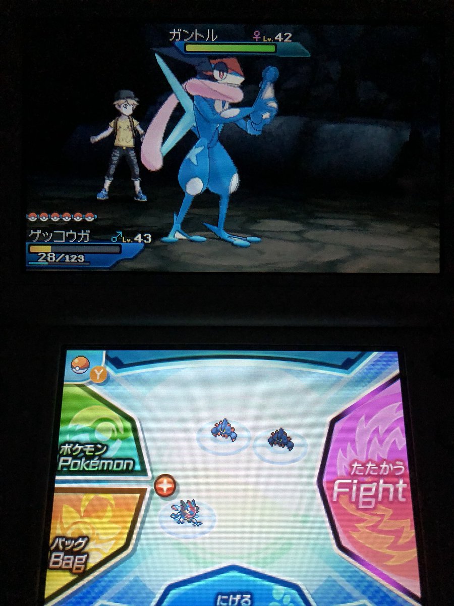 ポケモン サンムーン ガントル イメージポケモンコレクション