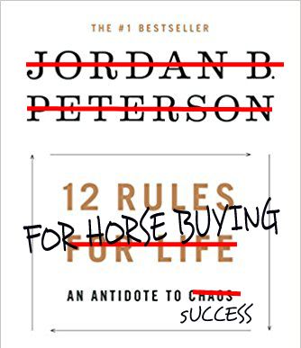 ASMilette's tweet photo. It would be interesting to question ourselves of the does and don’ts of horse buying. Something like: 12 rules of horse buying, an Antidote for success. I am now giving you an open mic and asking you what would be some of those rules.
#horsesale #horsemarket #showjumping  #share https://t.co/p9FgqyLUQt