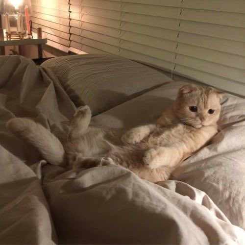 je t’aime เฌอ tweet media
