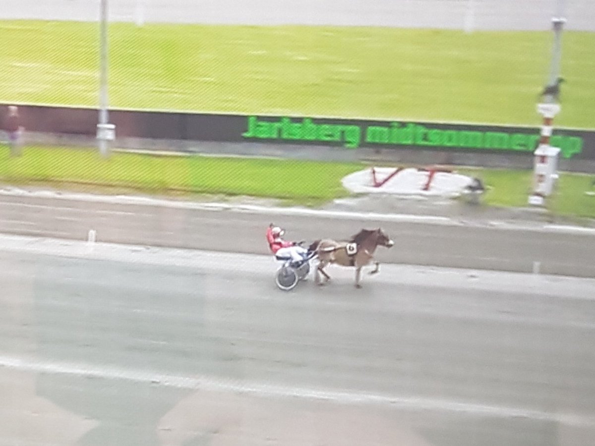 Han er født under JGP-uken og i ny drakt tar Henrik Kihle seg av Jarlsberg Mini Grand Prix med sin egen Deco C.C. i suveren stil! #hamardekk #teamkihle