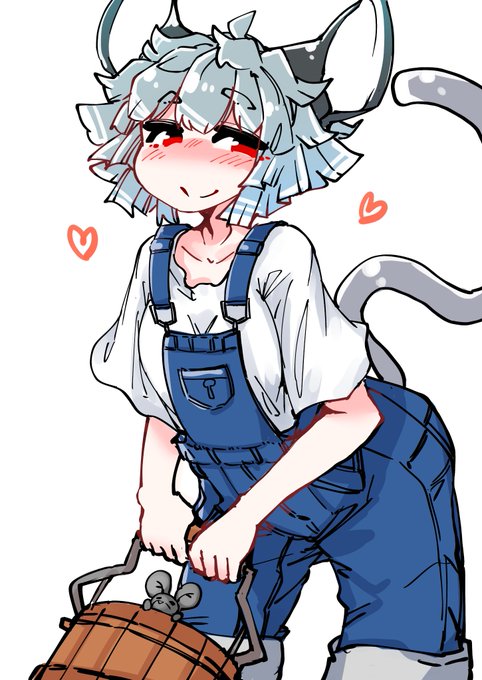 サロペットナズーリン 