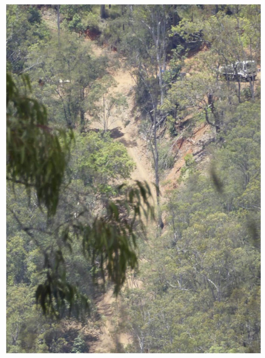cecenviro's tweet photo. The Castillo Copper saga | April 2019 | CEC report
https://t.co/fs0BXBSwgY
Cangai #copper exploration on steep slopes above the #MannRiver in the Clarence Valley NSW #cobalt #minerals #erosion #water
#ProtectOurRivers #stopcangaimine #nswpol https://t.co/tDXLN8caZr