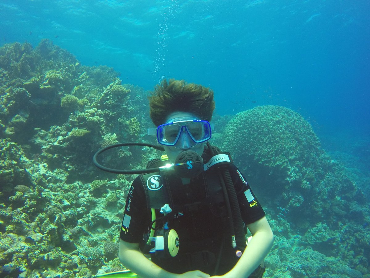 MillfieldScuba's tweet photo. Close ups of Tom, Pip &amp; Milo. Some of our @MillfieldSenior Advanced divers. @SDailley @lisalet3 https://t.co/sxtW7LbIzg