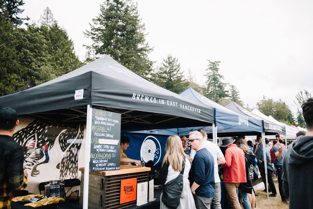 Strange Fellows tweet media