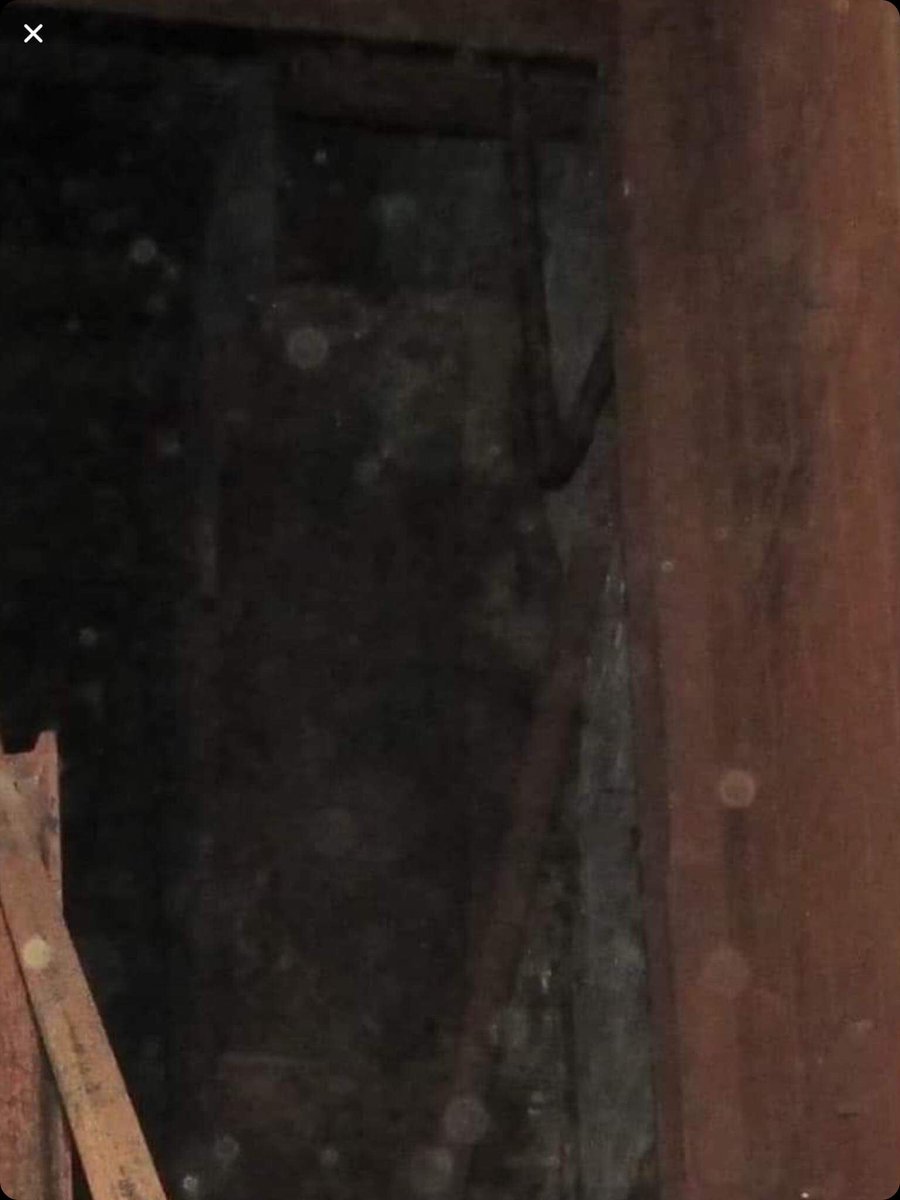 fieldsy1881's tweet image. Great capture last night well done Si 🦅👻GF