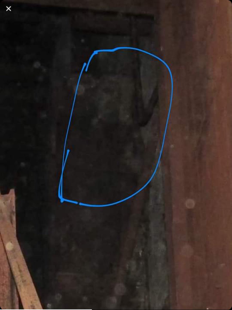 fieldsy1881's tweet image. Great capture last night well done Si 🦅👻GF