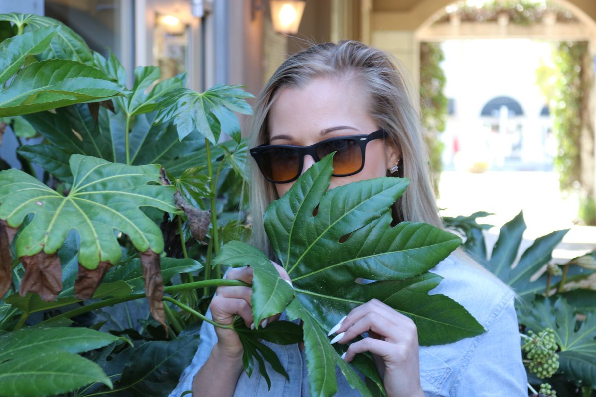 We hope you're having a relaxing Sunday with lots of golf! Don't forget your Peaks! 😎