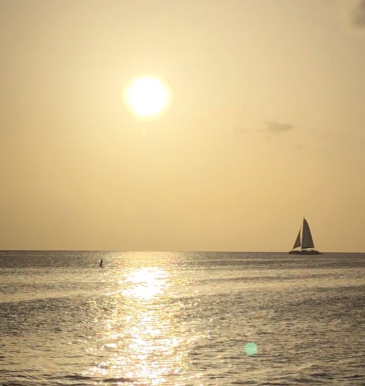curiousdg's tweet image. Sharing my favorite photo from a recent trip to #GrandCayman. #SundaySunsets #travel
@RoarLoudTravel @_sundaysunsets_ 
@always5star @GalsWander @SuburbanMen
